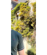 Tee shirt homme marque -coupe confortable